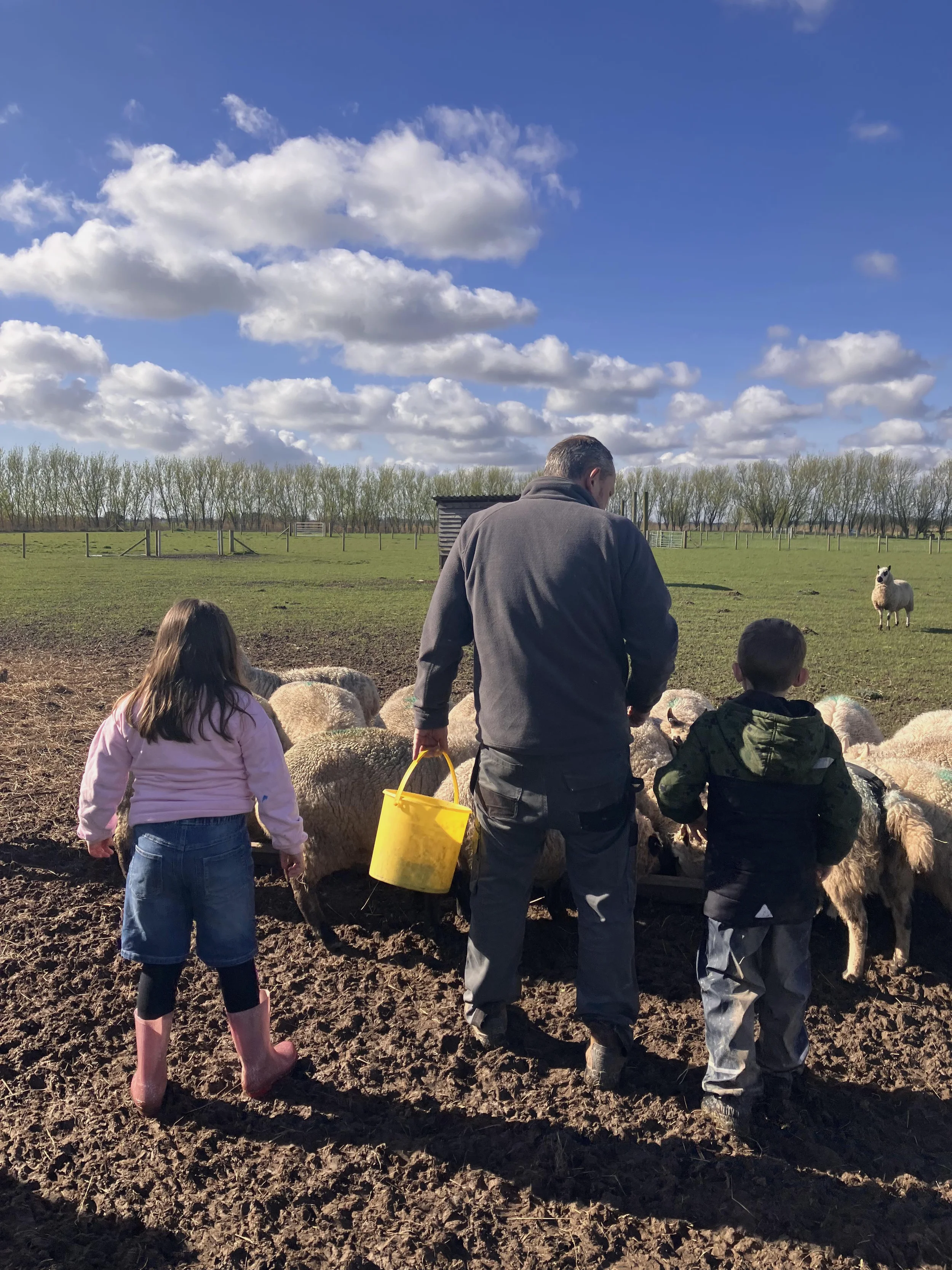 Family_Farm_Breakfast_header.webp