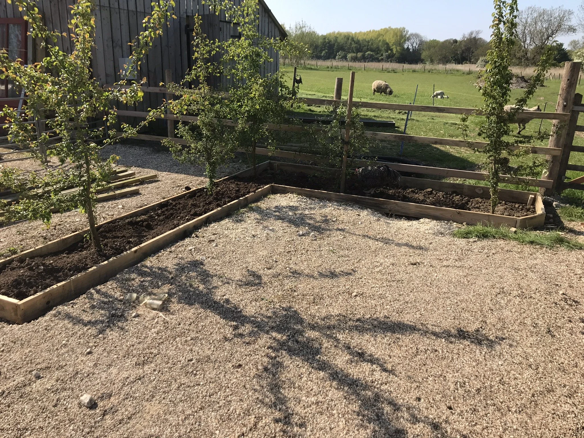 And then there was 2020.