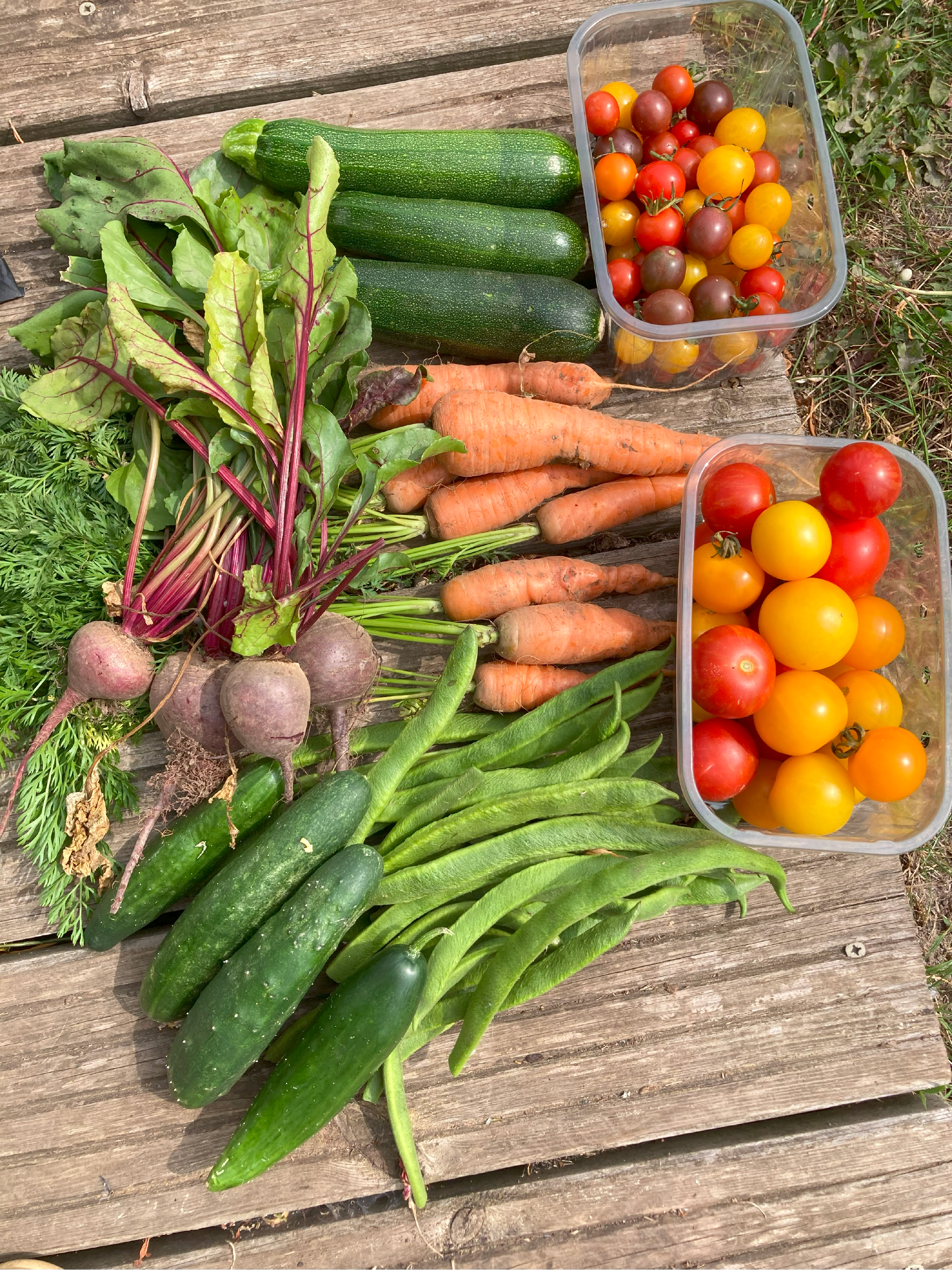 Vegetables.webp