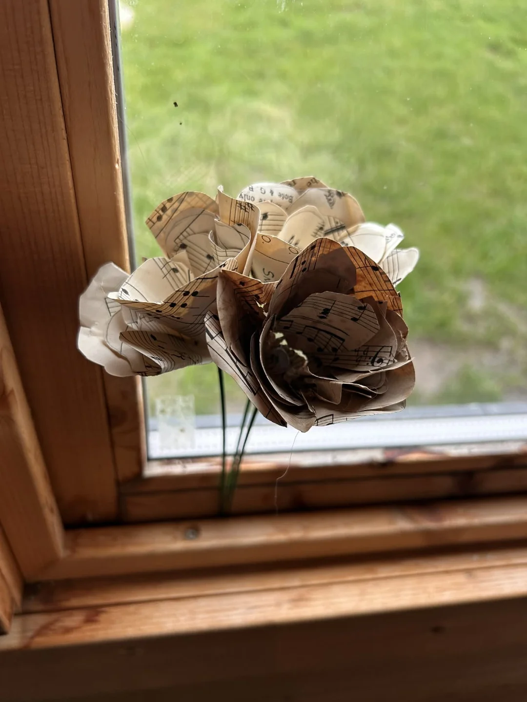 Paper Flower.webp