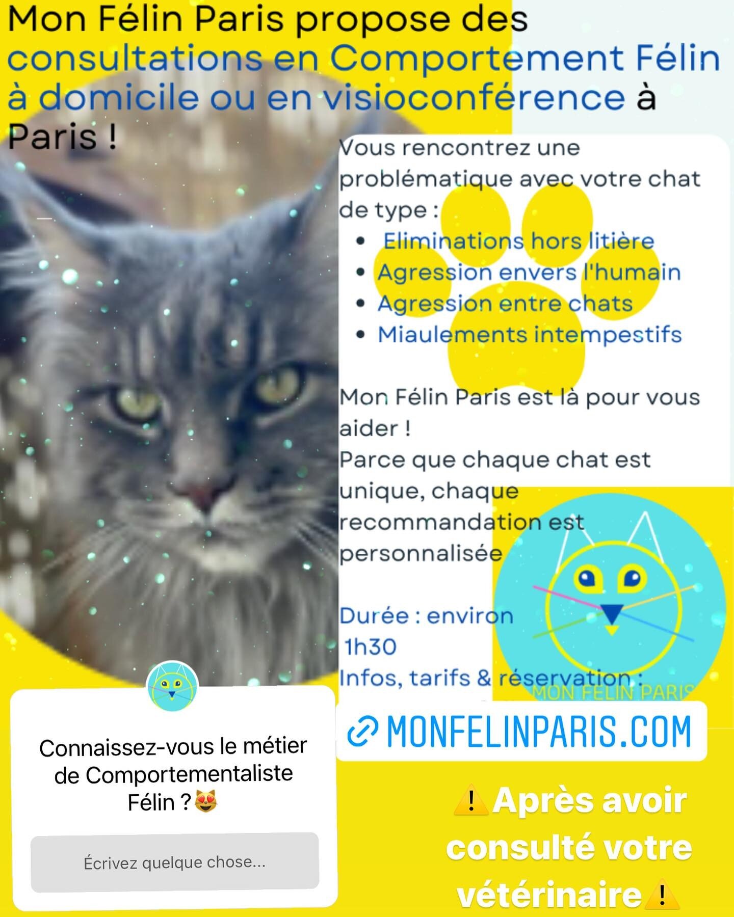 ✨Mon F&eacute;lin Paris propose des consultations en comportement F&eacute;lin &agrave; domicile ou en visioconf&eacute;rence, &agrave; Paris !😻

Infos, tarifs et r&eacute;servation : www.monfelinparis.com

🟡Connaissez-vous le m&eacute;tier de comp