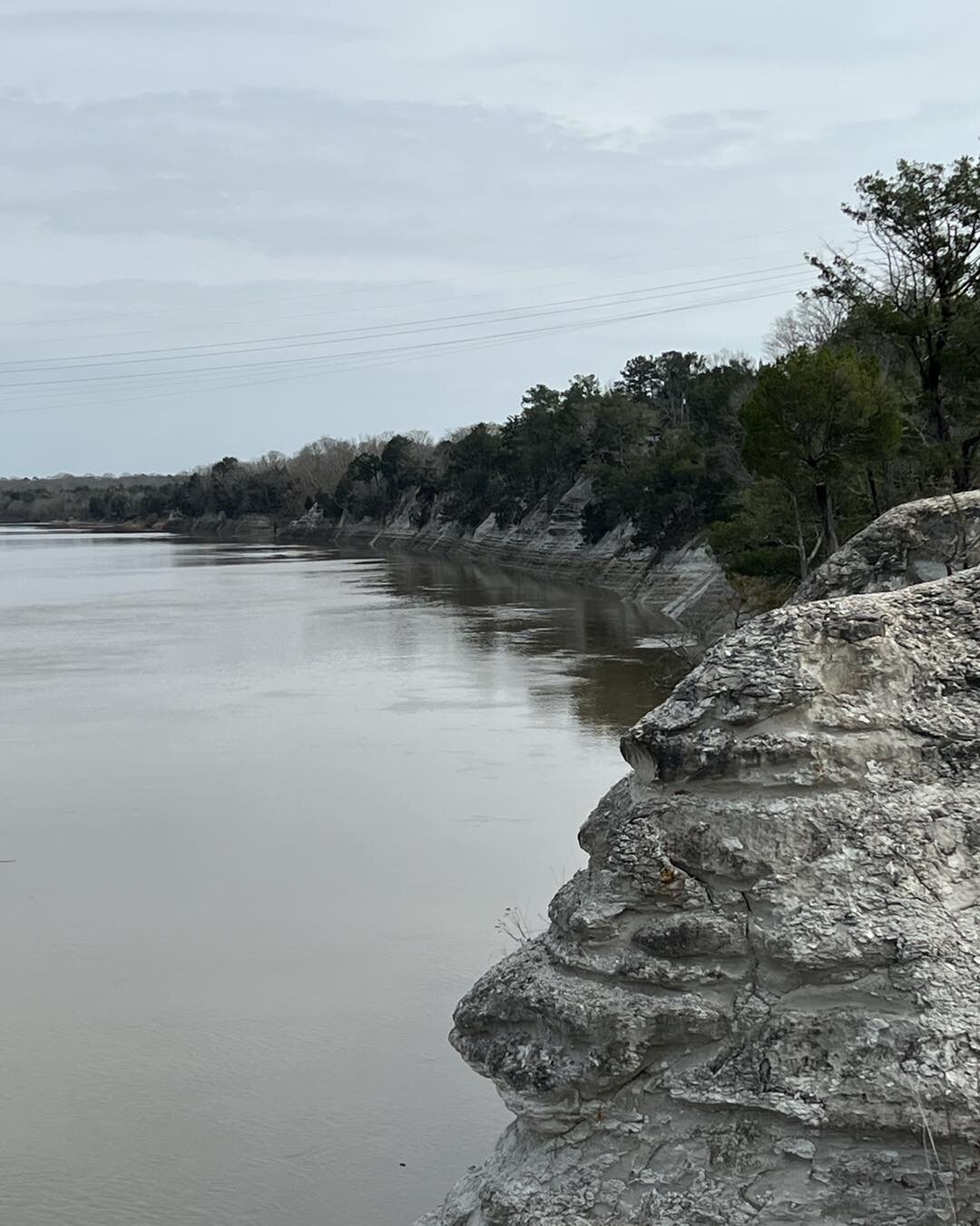 Alabama is home to many unique and beautiful natural scenes.😍 Check out these photos from the white cliffs on the Tombigbee River in rural southwest Alabama. These white cliffs are found in places like Epes, Selma, and Demopolis. This chalk is a typ