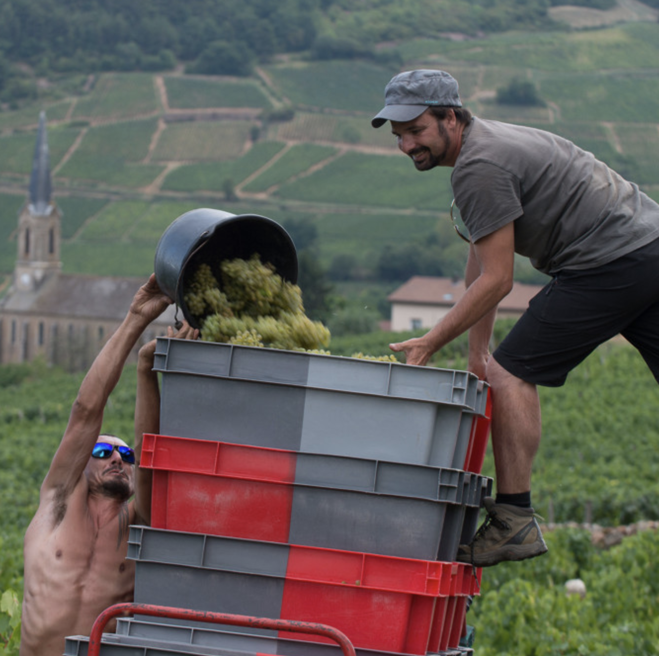 The Wine Archetype for Modern Storytelling