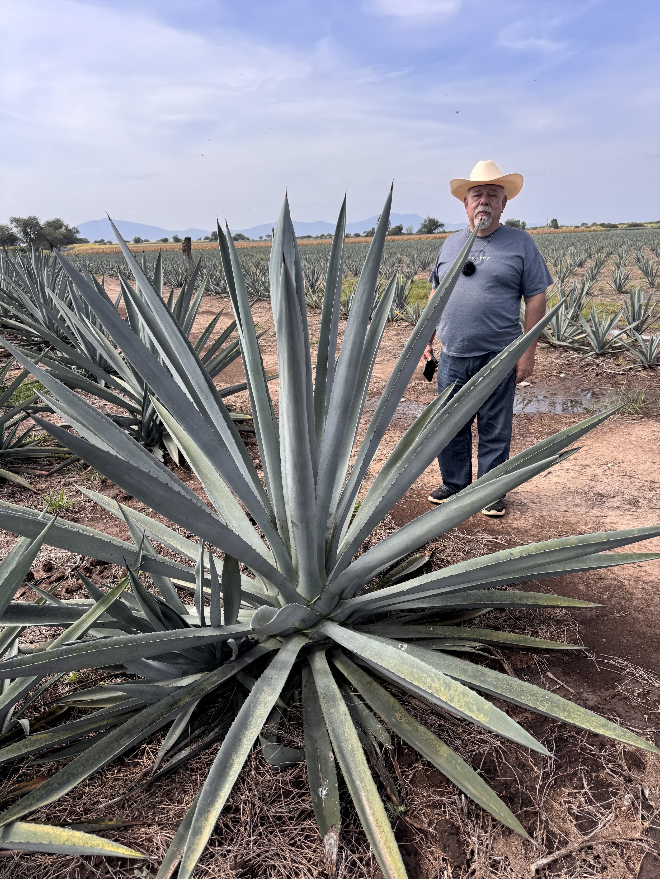 The Future of Tequila is Regenerative Farming
