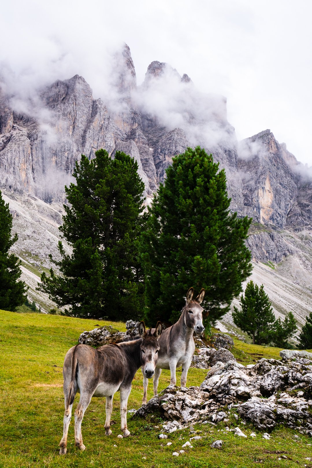 Belinda Shao_FR_IT_250716-250803-web-08590.jpg