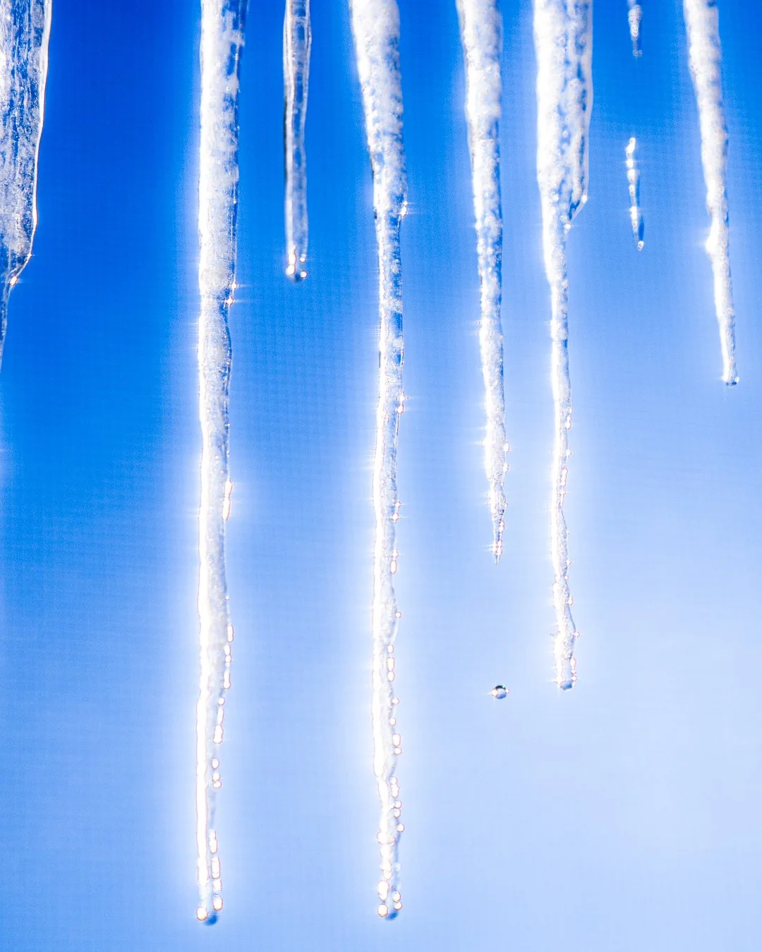 Belinda Shao_Icicle_260126-27_1080-02637.jpg