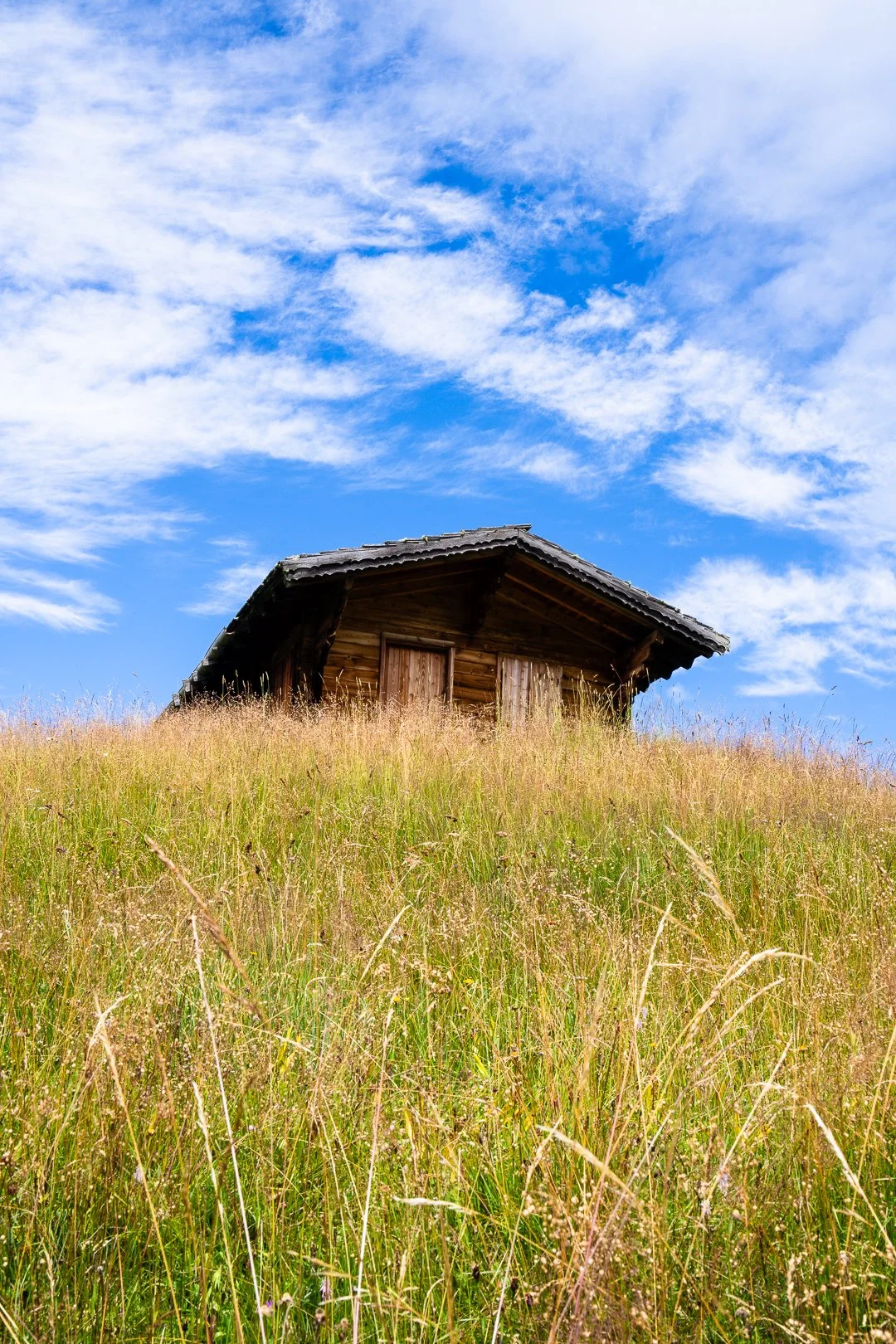 Belinda Shao_FR_IT_250716-250803-web-08828.jpg