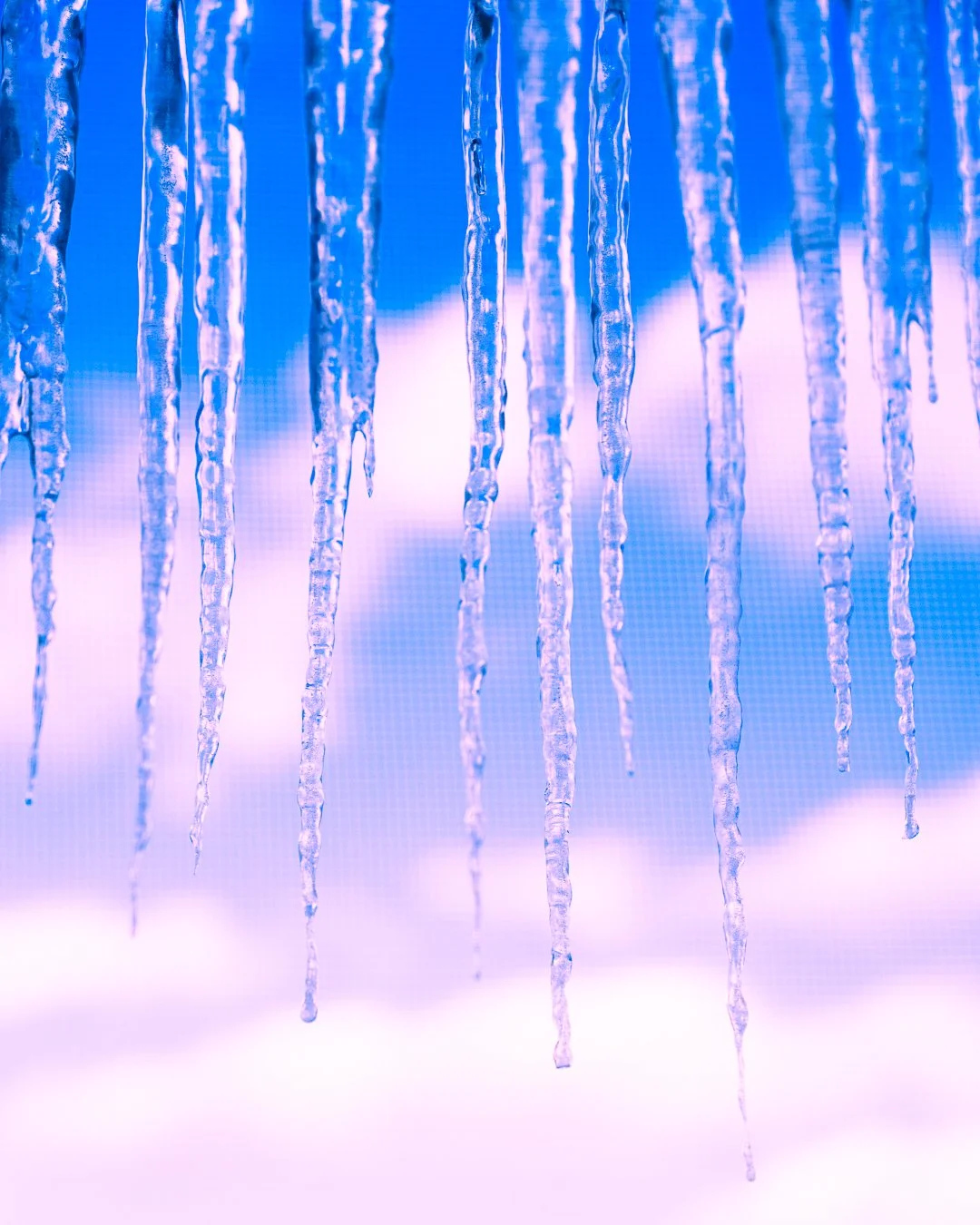 Belinda Shao_Icicle_260126-27_1080-02594.jpg