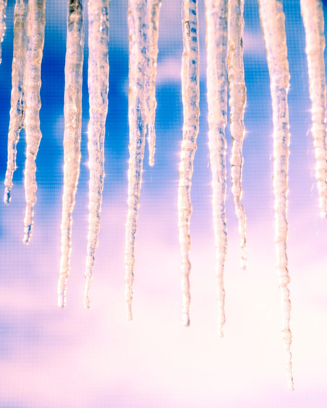 Belinda Shao_Icicle_260126-27_1080-02519.jpg