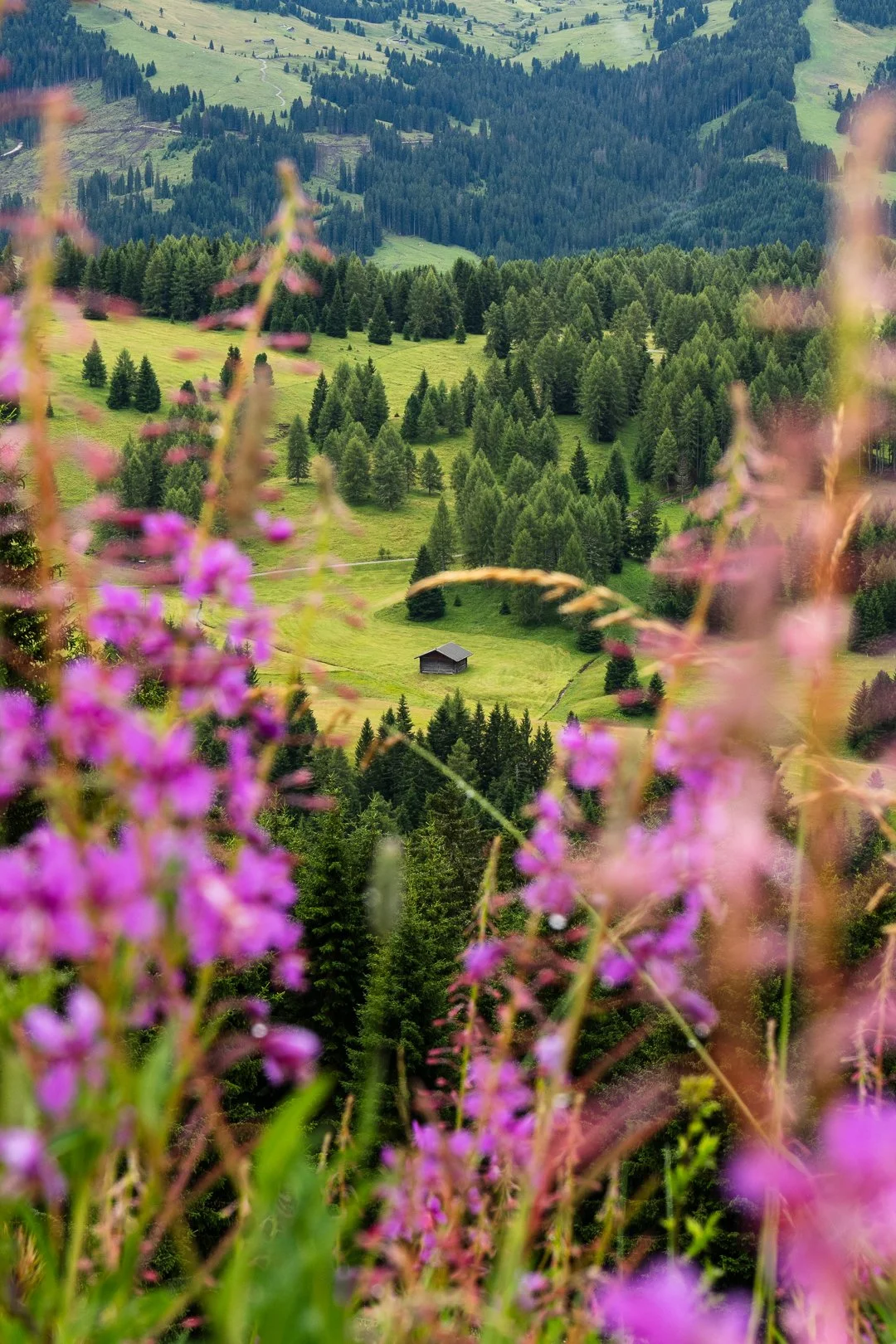 Belinda Shao_FR_IT_250716-250803-web-08743.jpg