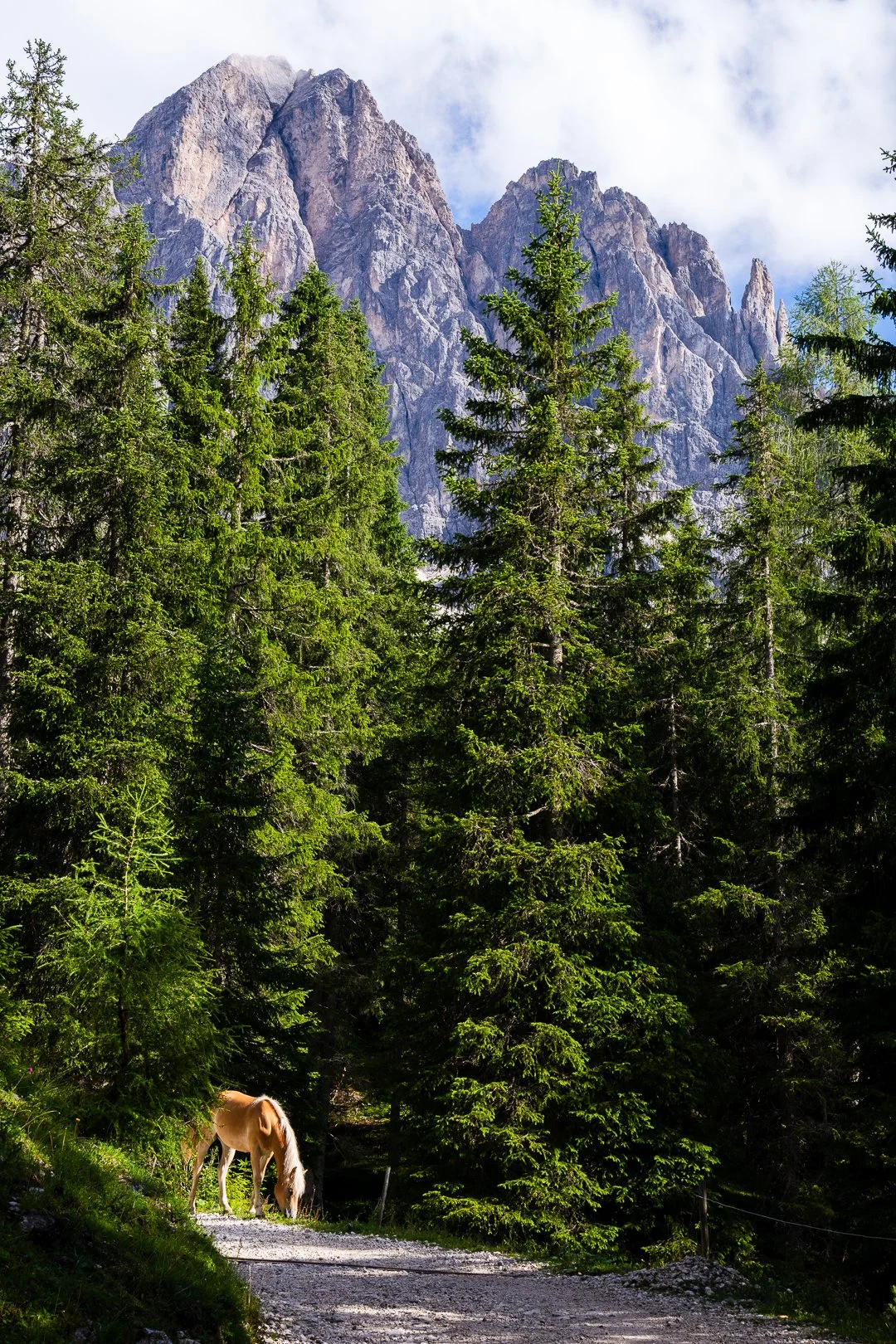 Belinda Shao_FR_IT_250716-250803-web-08423.jpg