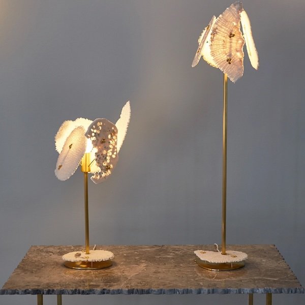 Coral Sun, Table Lamp by Zuleika Penniman