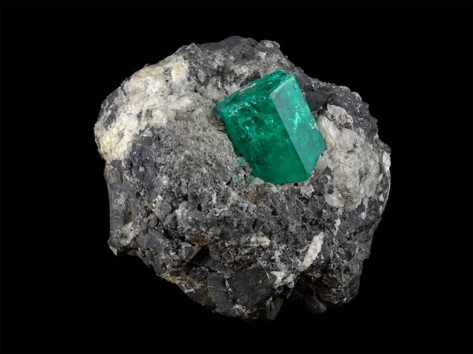 Beryl (emerald) on blackshale Muzo, Boyaca Colombia - Ecole Nationale Supérieure des Mines de Paris (6334)