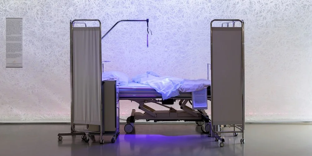 Fungi_Anarchist Designers_5_1000x500.jpeg