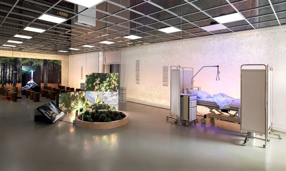 Fungi_Anarchist Designers_9_1000x600.jpeg