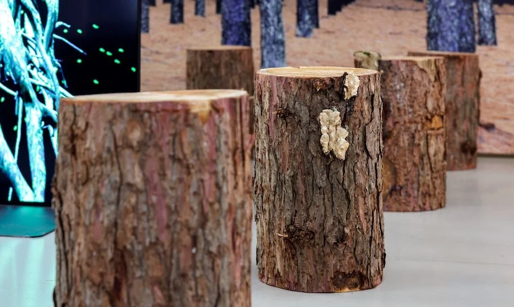 Fungi_Anarchist Designers_11_1000x600.jpeg