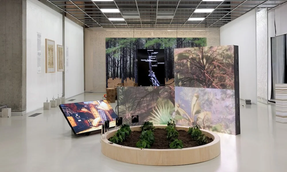 Fungi_Anarchist Designers_15_1000x600.jpeg