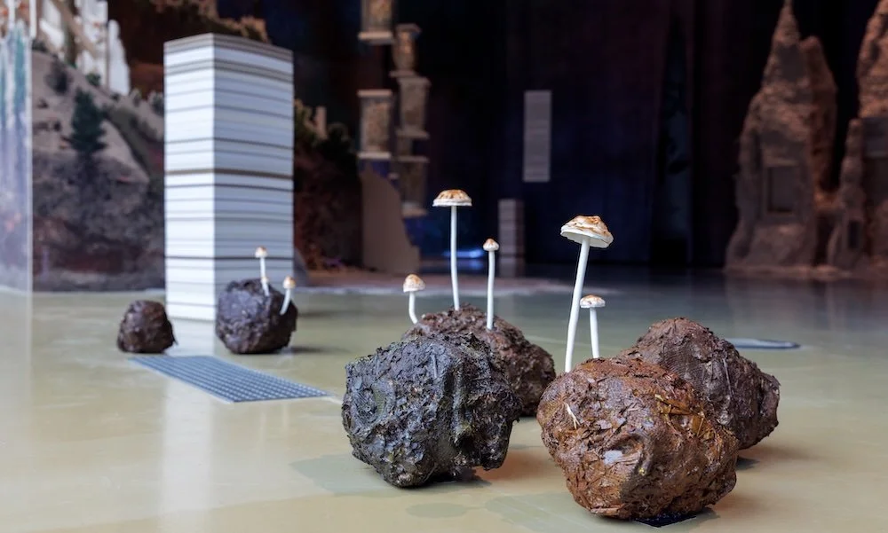 Fungi_Anarchist Designers_26_1000x600.jpeg