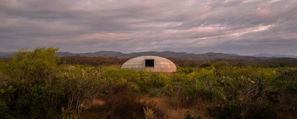 The Egg That Eats Itself