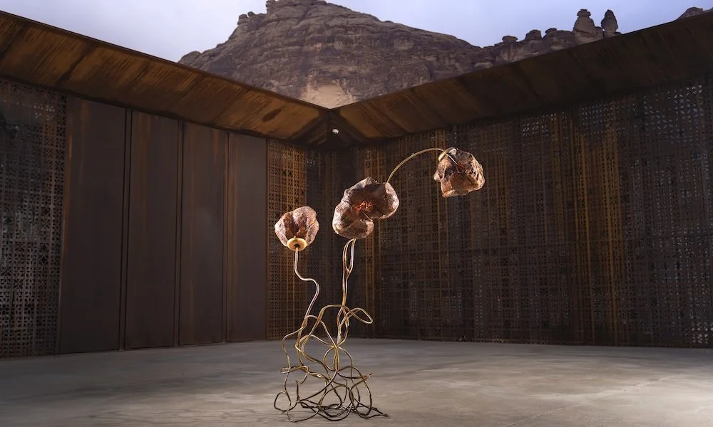 Ori Orisun Merhav, Woven by the Palm, 2026, Courtesy of Arts Alula, ©Lorenzo Arrigoni