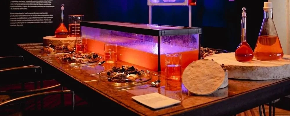 Living Territories: Biodesign Comes to Mexico