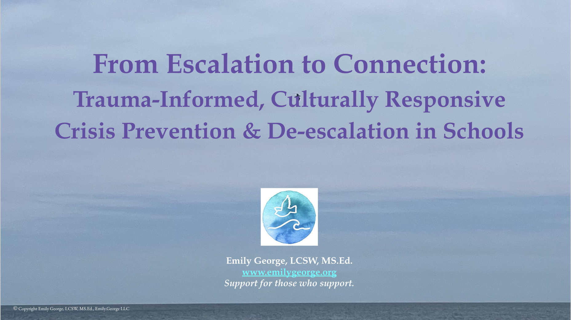 From Escalation to Connection: Trauma-informed, Culturally Responsive Crisis Prevention &amp; De-escalation in Schools    (3 CEs for NYS LMSW, LCSW, LMHC)