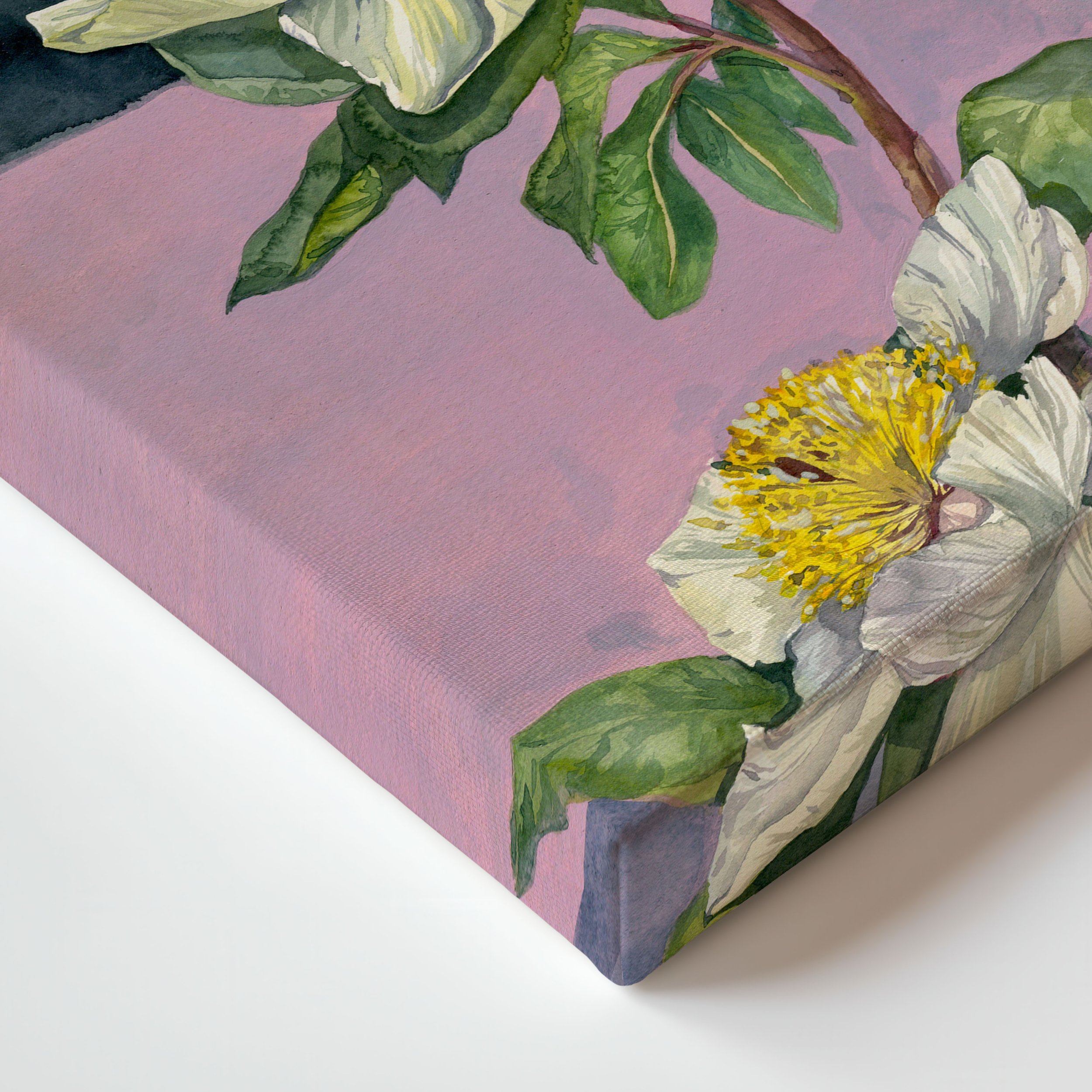 libra canvas corner.jpg