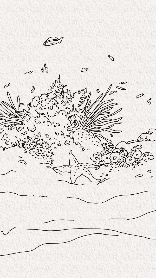 Untitled_Artwork 6.gif