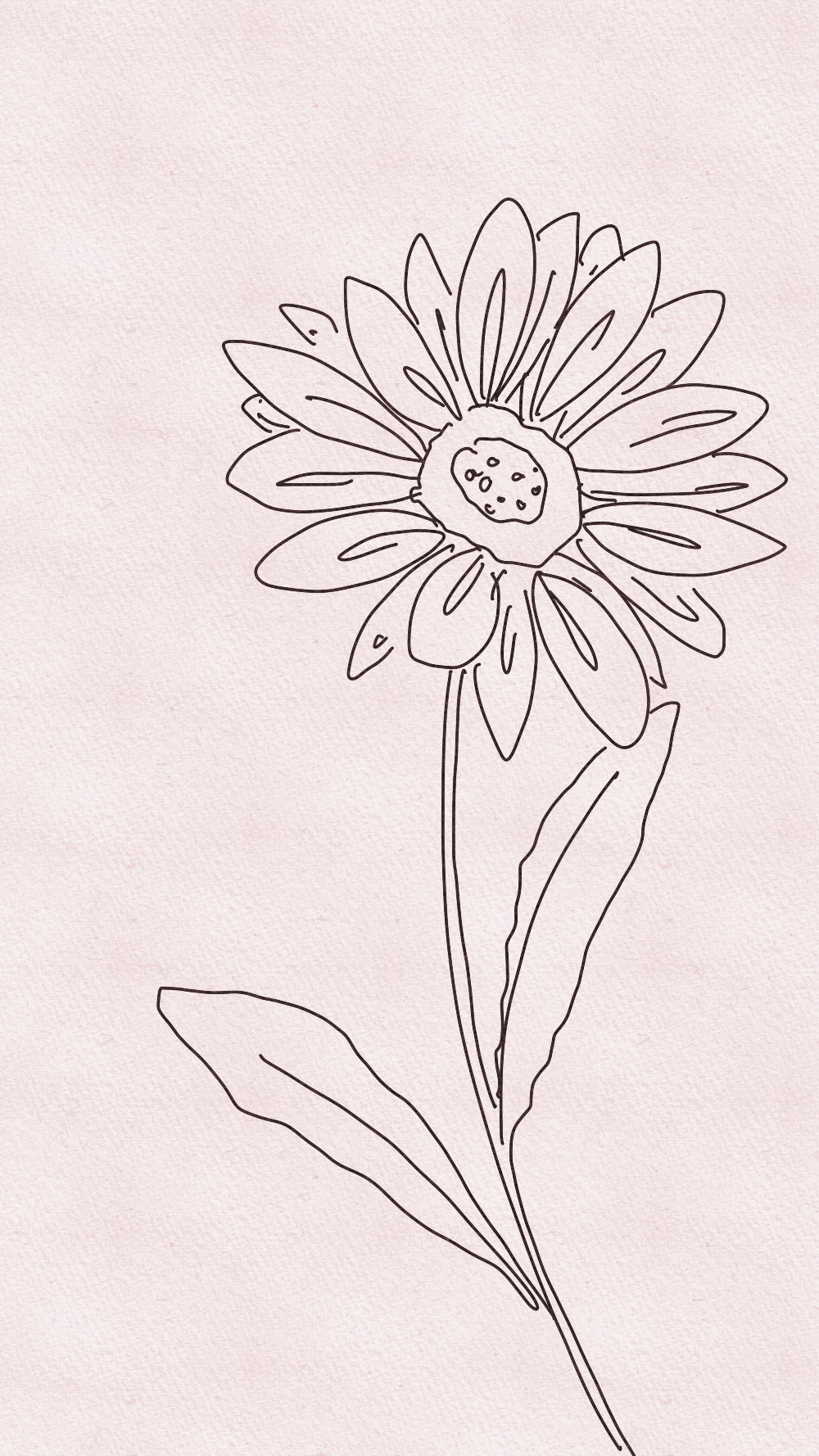 Untitled_Artwork 7.gif