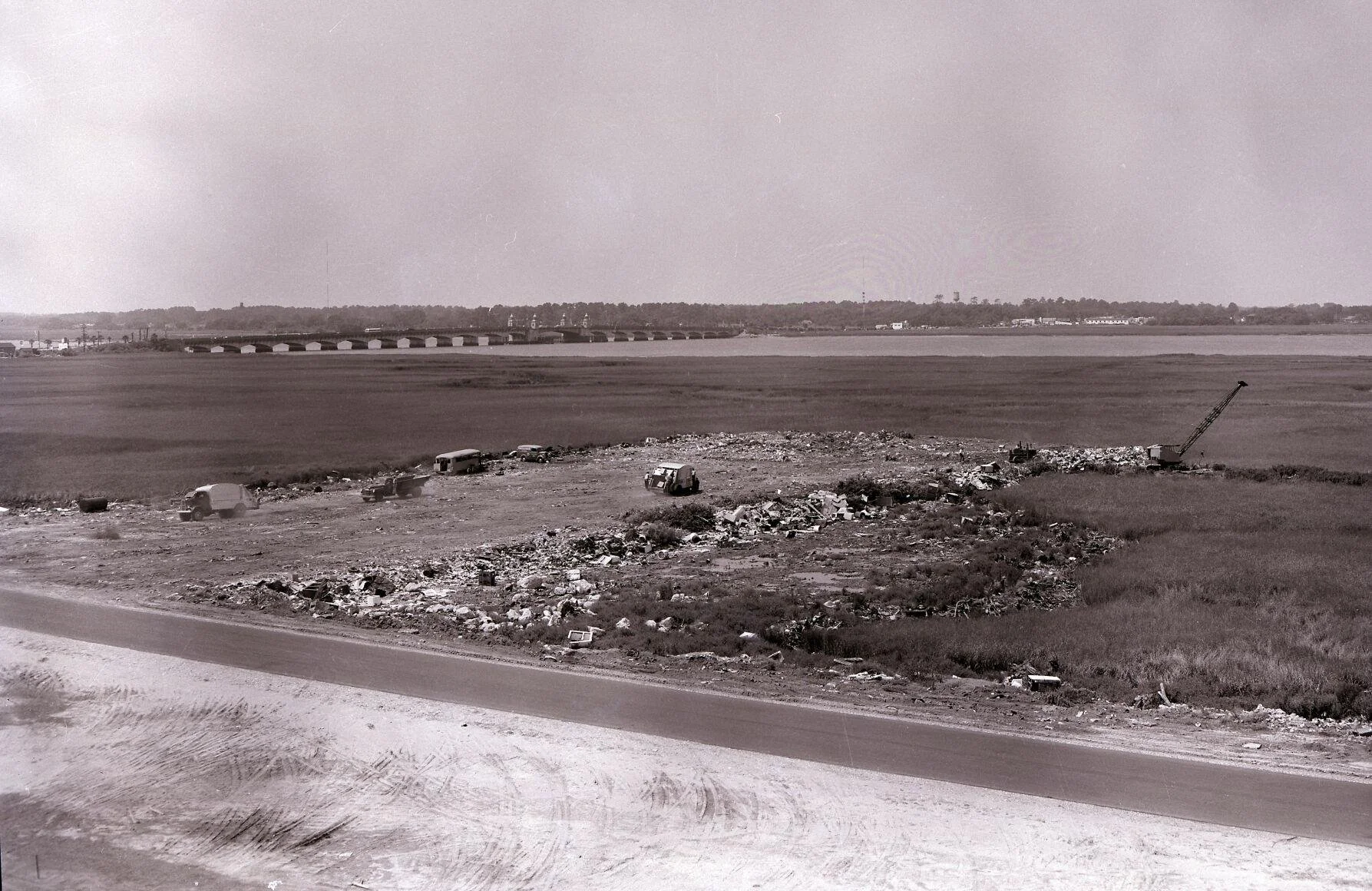 CHS 2030: Nurturing Our Urban Creeks