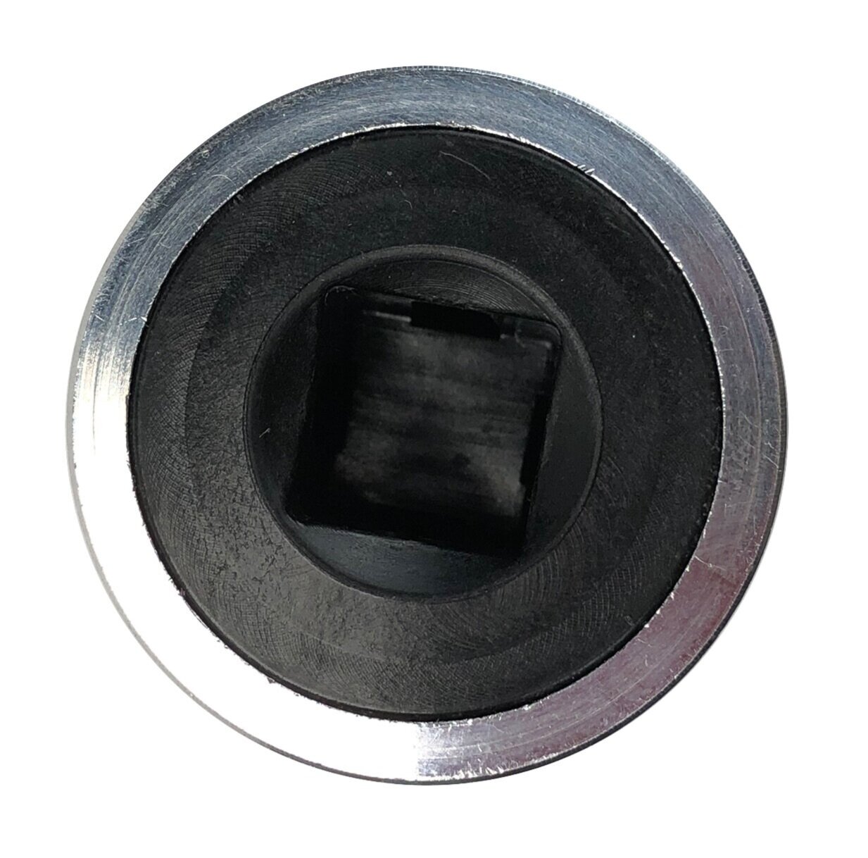 Bottom+View.jpg