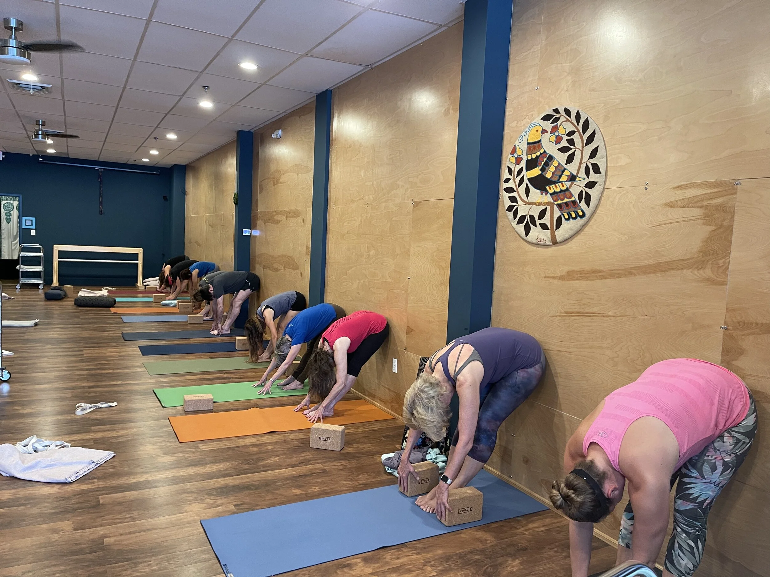 Iyengar Yoga — Sweetbay Yoga