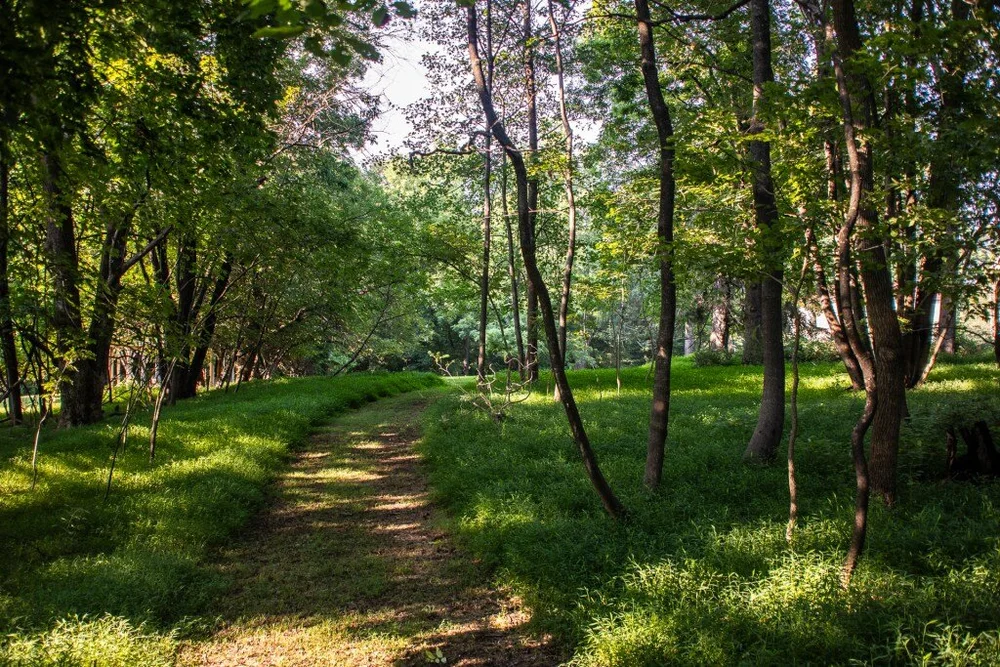 Events — Sweetbay Yoga