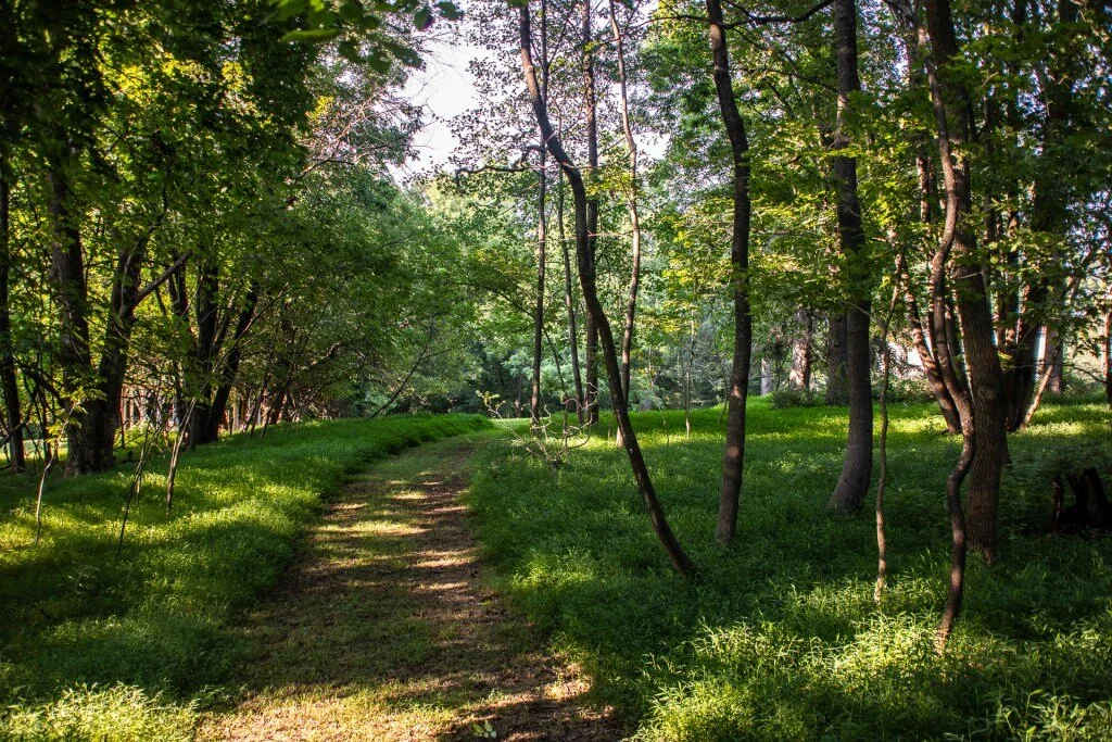 Events — Sweetbay Yoga