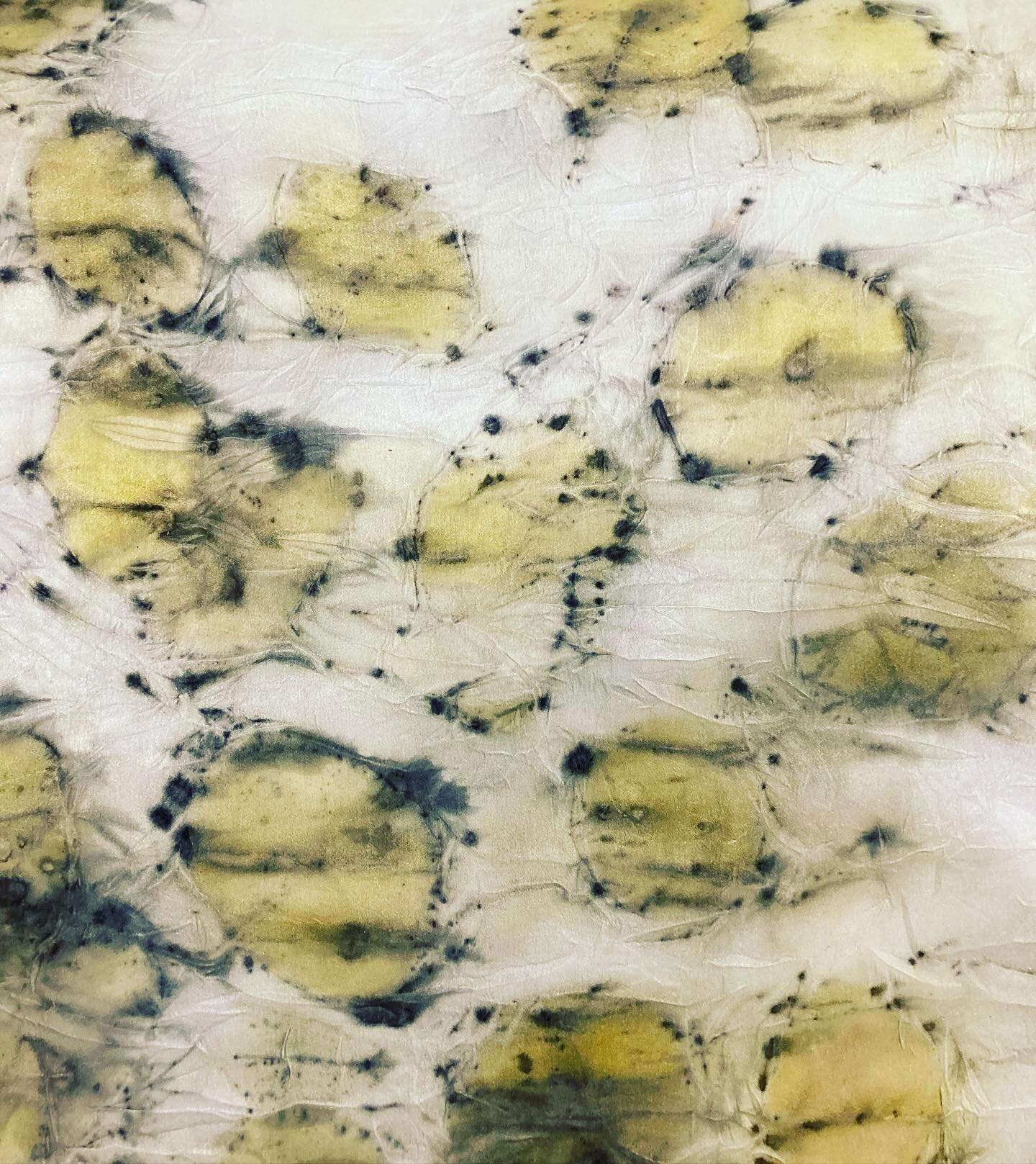 Eucalyptus + Silk ✨ 
Im so enjoying learning the beauty of natural dyeing and eco-printing. This process is just as spontaneous and intuitive as my painting practice and I simply love it!

#textiles #ecoprinting #naturaldyeing #silk #mothernature #in