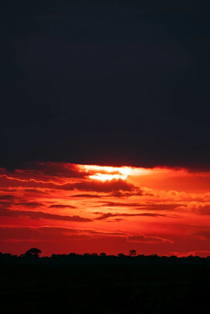 Sunsets-22.jpg
