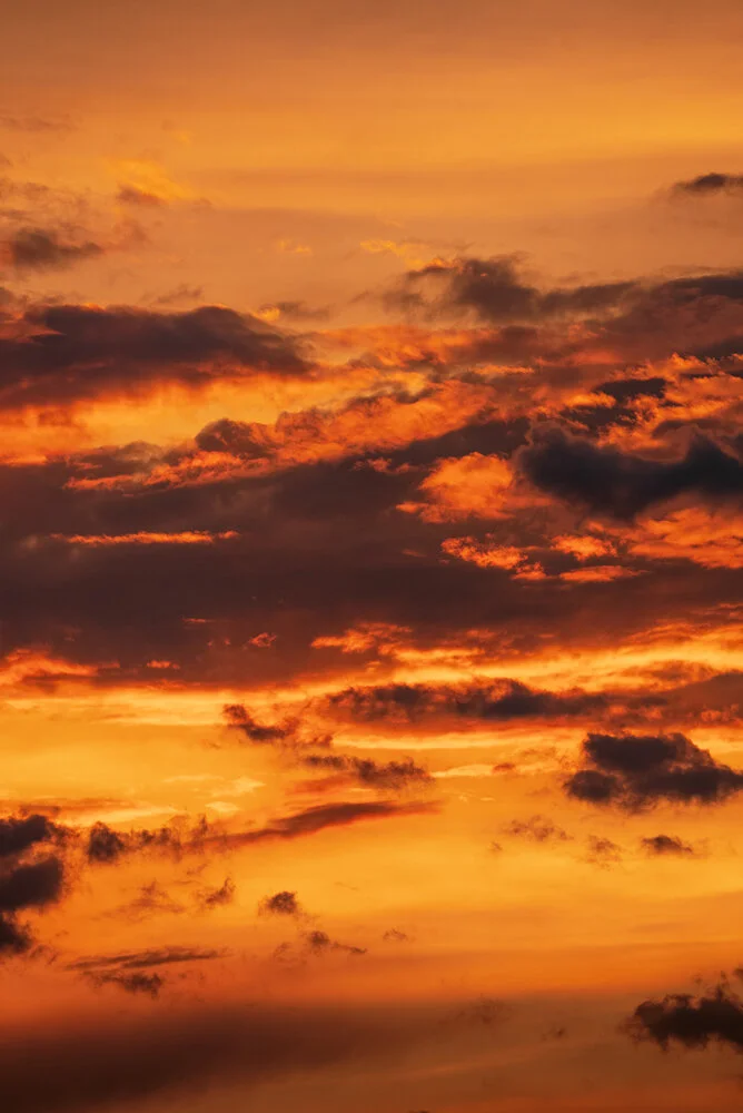 Sunsets-27.jpg