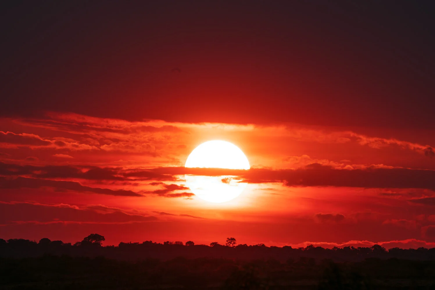 Sunsets-24.jpg