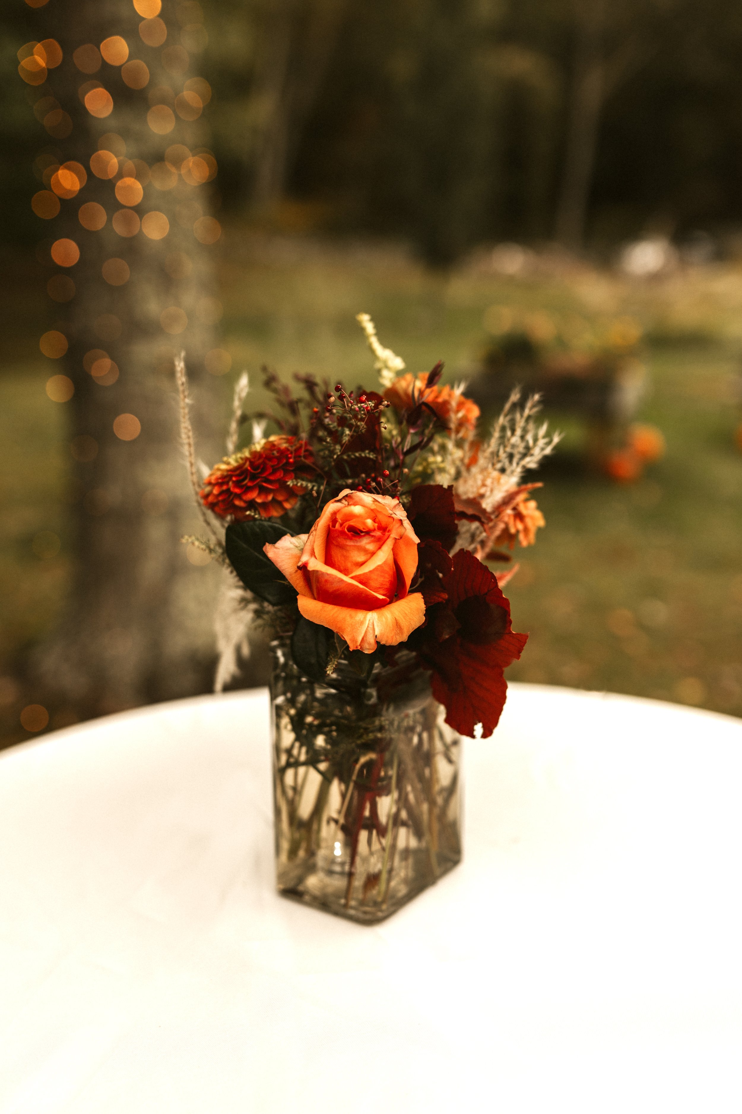 HHP12223-Edit.jpg