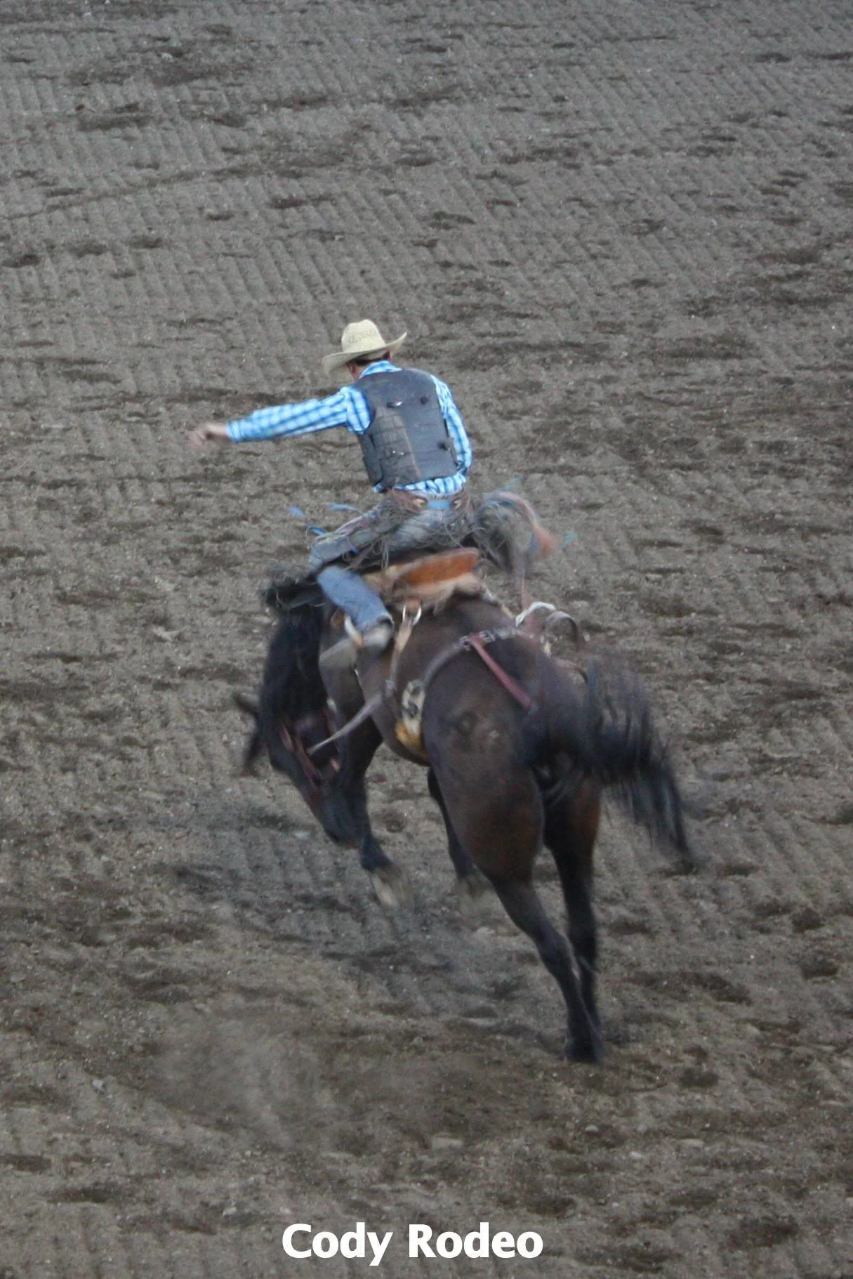 Cody Rodeo 3.jpeg