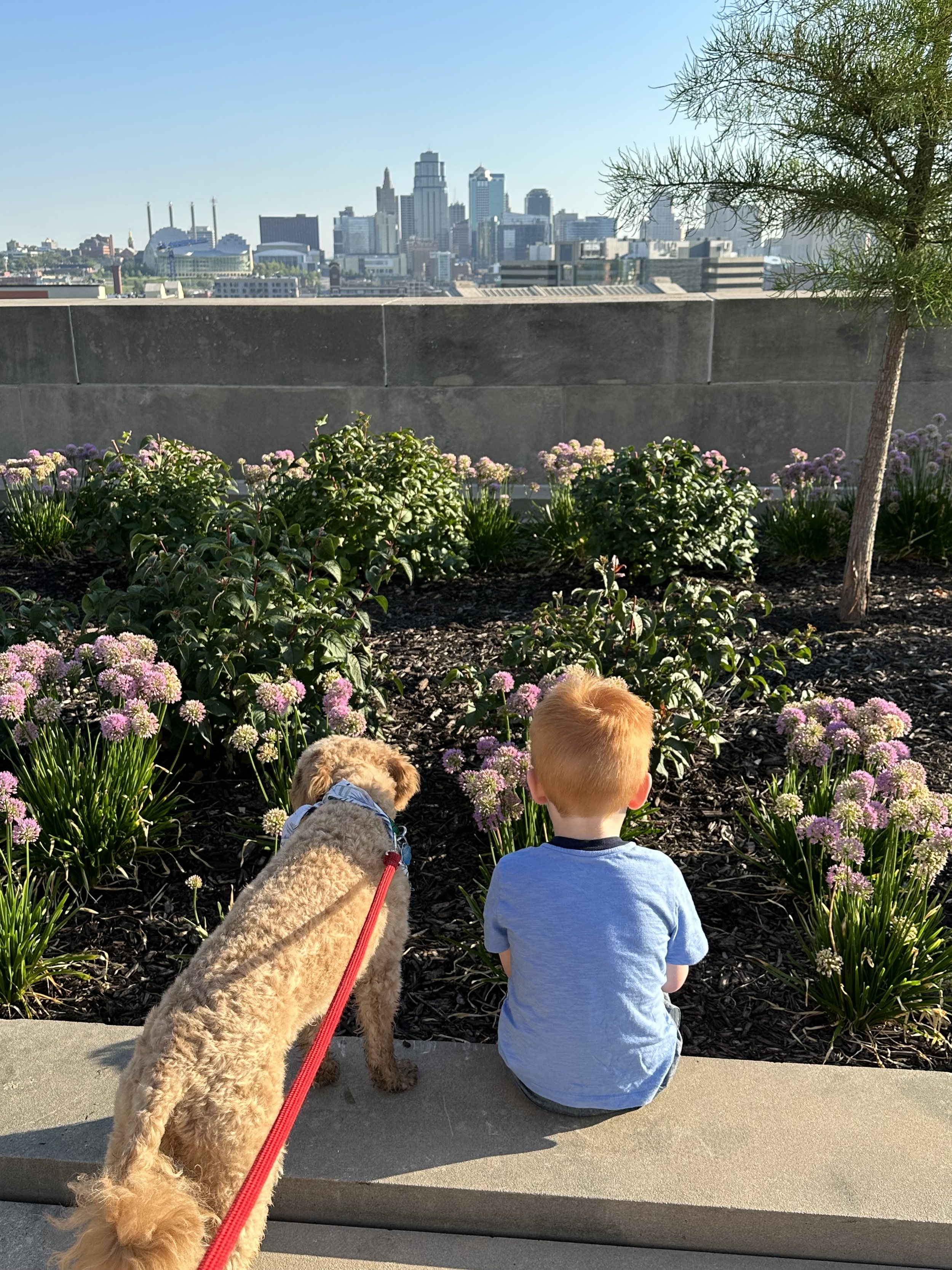 IMG_0174.jpeg
