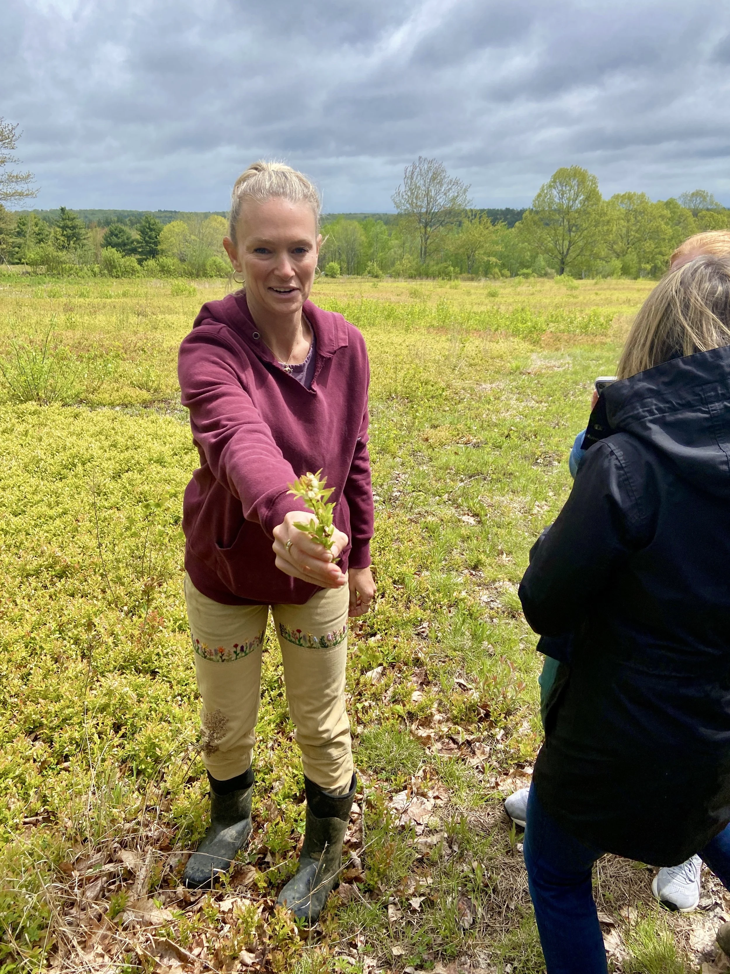 Visiting a Blueberry Farm