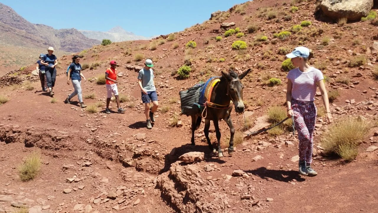 Wandern3.jpg