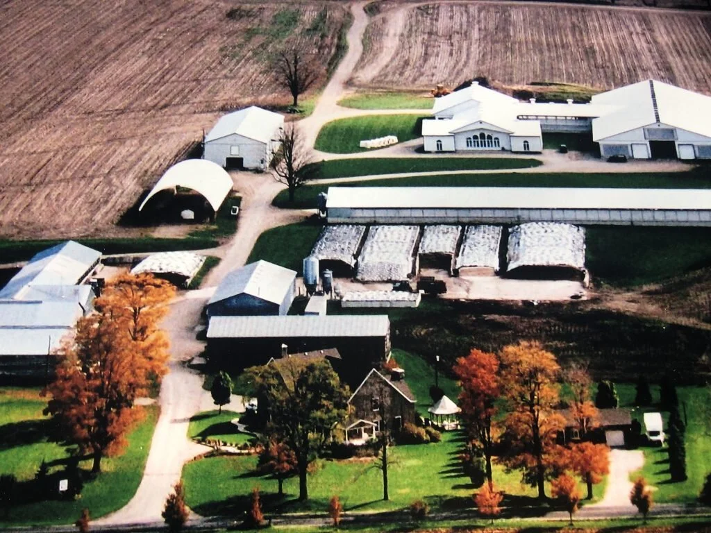 Glenroe Farms Limited