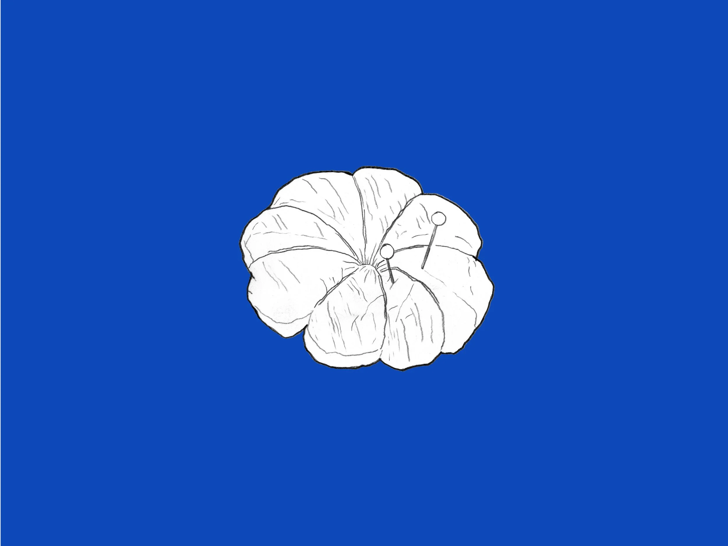 Shop_800x600px DIGI Bloom4.jpg