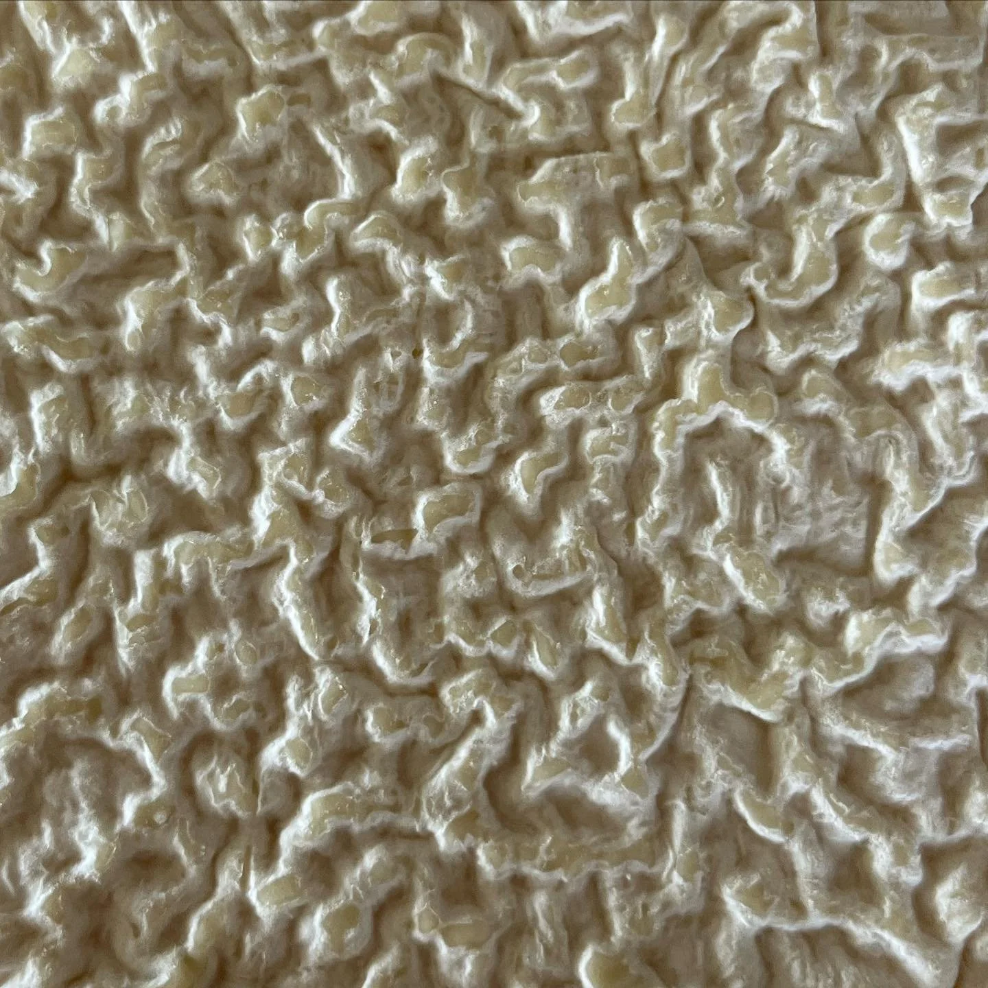 I got news for ya! It's always #nationalgoatcheesemonth here