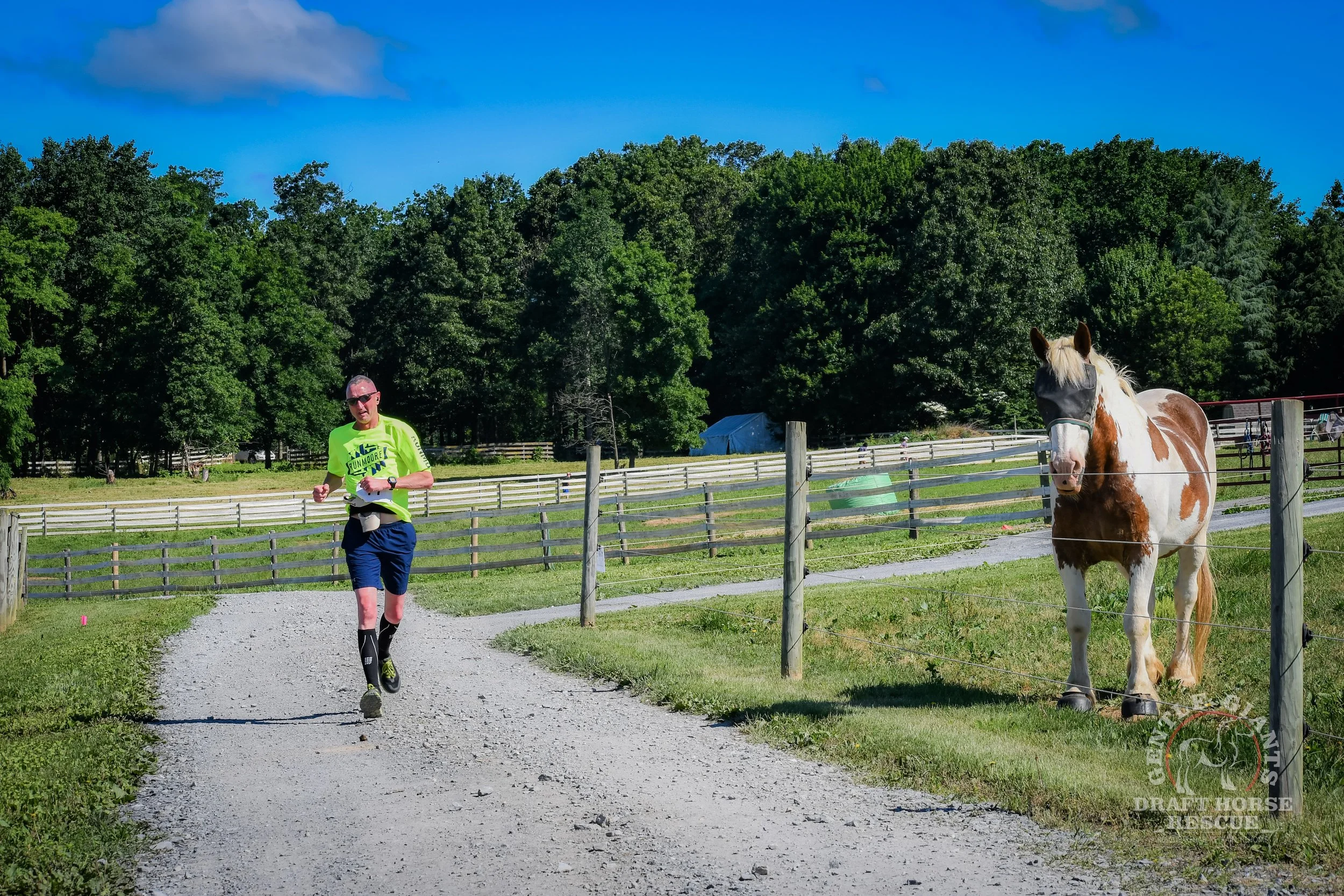 Thundering Hooves 1m / 5k Walk/Run 
