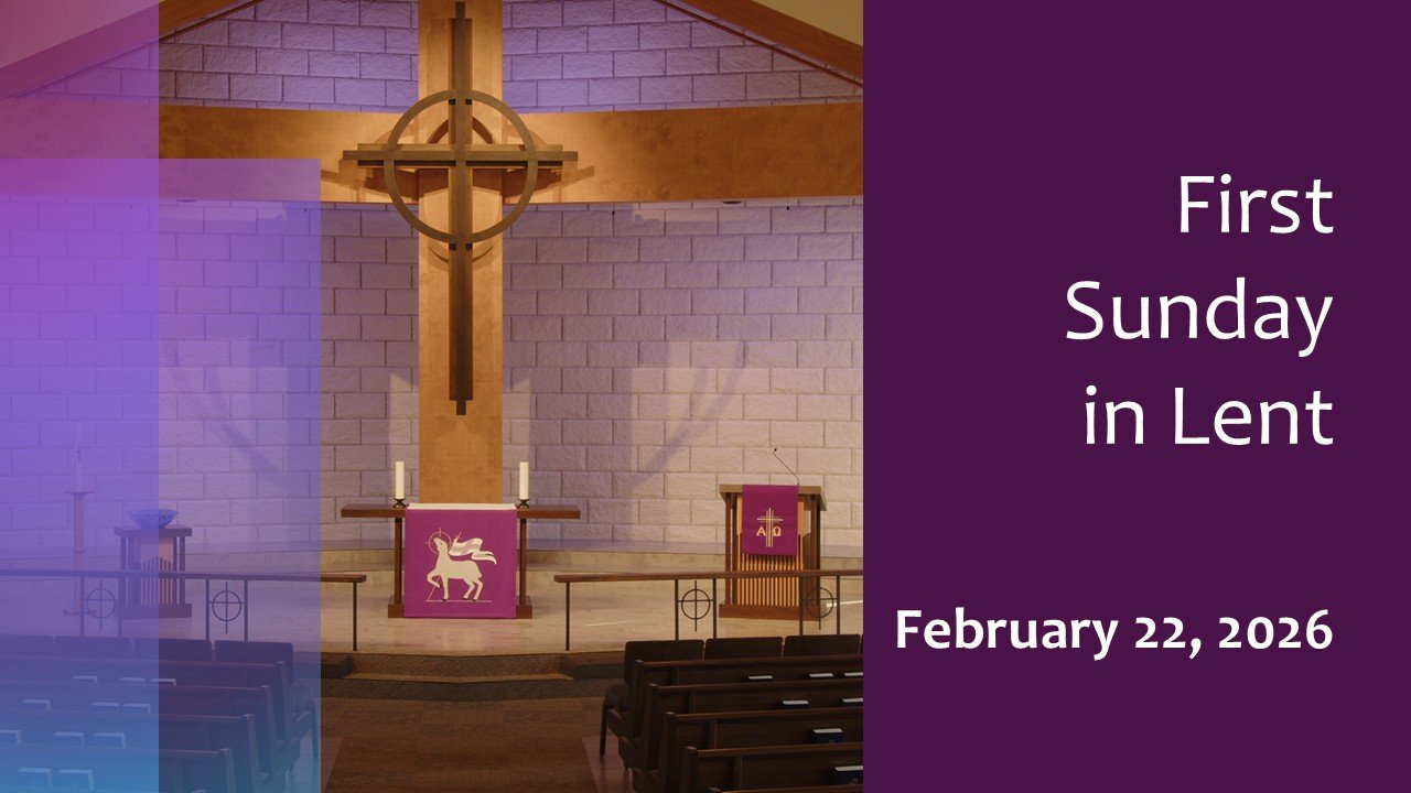 Sunday, February 22, 2026