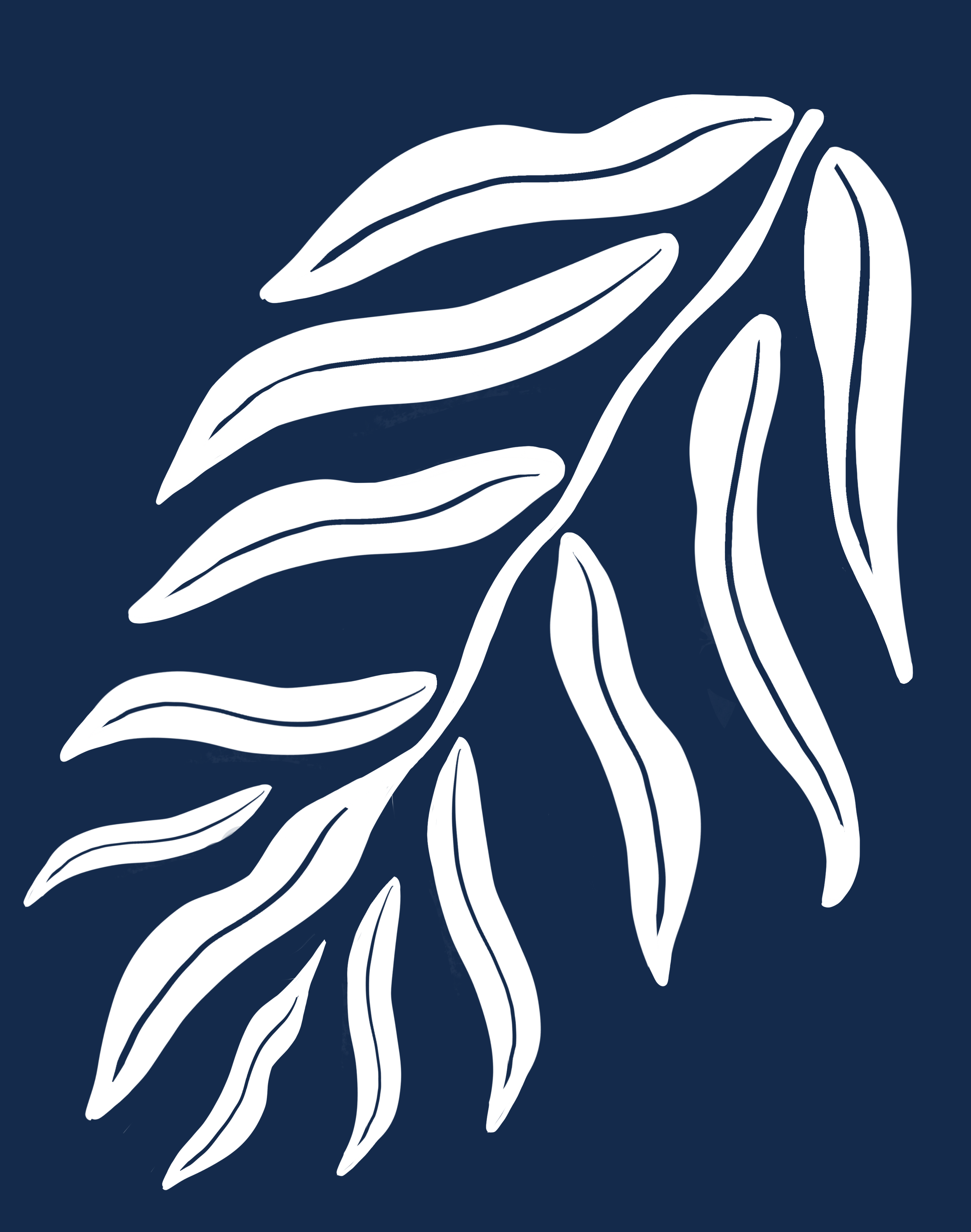 CA101