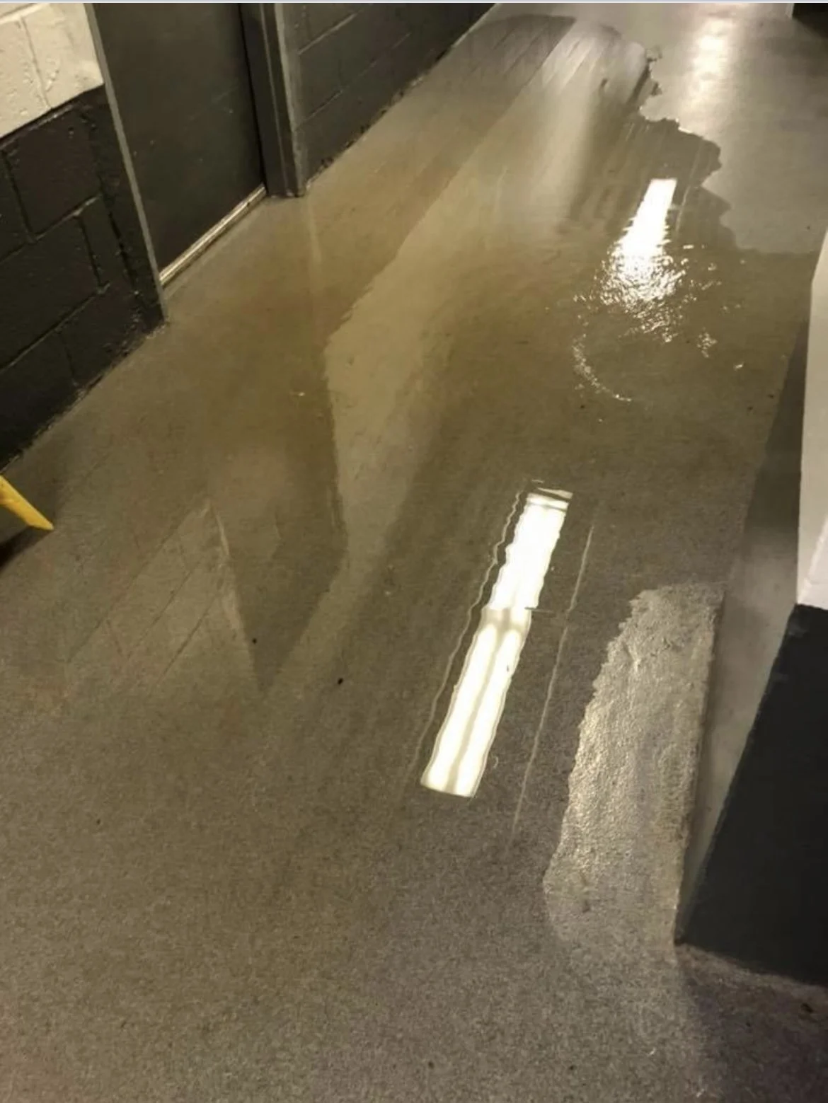 Case Study Hammerhead™️ Amalgamated Warbasse Houses Brooklyn, NY